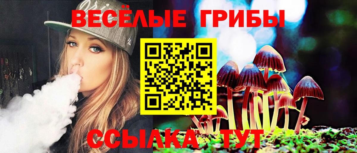 Галлюциногенные грибы Magic Shrooms  Вход с VPN  Кыштым  где купить наркотик  Галлюциногенные грибы GOLDEN TEACHER 